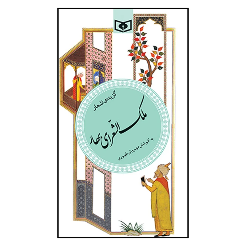 پالتویی