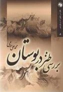 جیبی