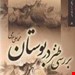 جیبی