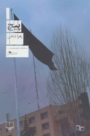 کتاب پیچ اثر زهرا شاهی