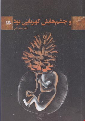 کتاب و چشم هایش کهربایی بود اثر مهری بهرامی نشر هیلا