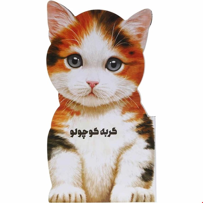 کتاب گربه کوچولو مجموعه حیوانات کوچک اثر جیووانی کاویزل انتشارات بین المللی گاج