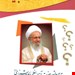 وزیری