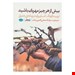 رقعی