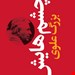 پالتویی