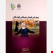 وزیری